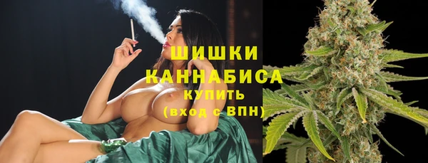 трава Аркадак