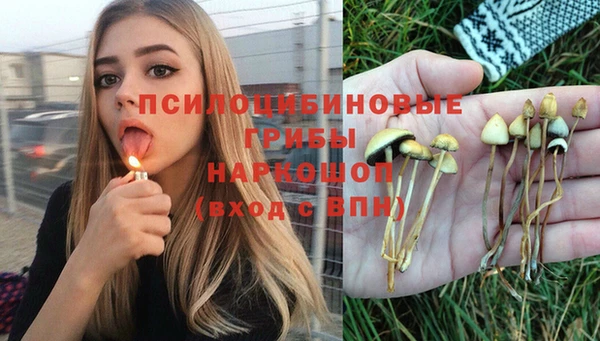 бошки Арсеньев