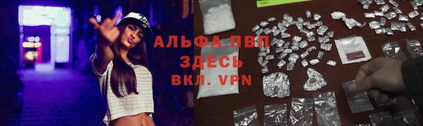 прущие грибы Армянск
