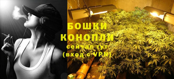 прущие грибы Армянск