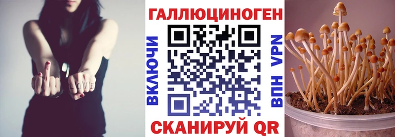 Псилоцибиновые грибы Psilocybine cubensis  Кемь 